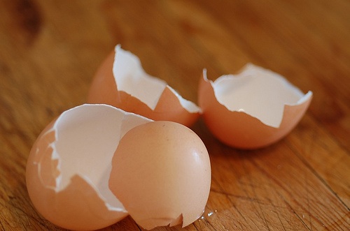 eggshells.jpg