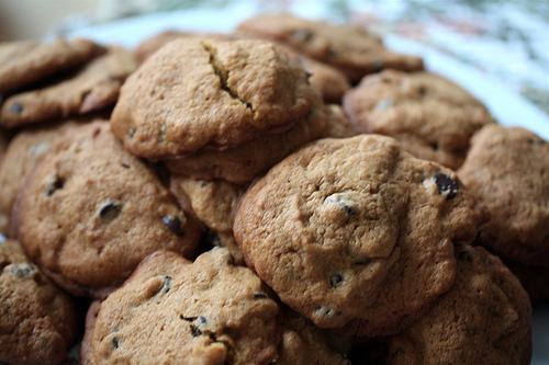 A plate of pumpkin chocolate chip cookies.